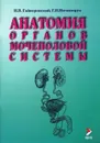 Анатомия органов мочеполовой системы - И. В. Гайворонский, Г. И. Ничипорук