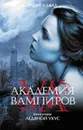 Академия вампиров. Книга 2. Ледяной укус - Райчел Мид