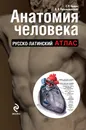 Анатомия человека. Русско-латинский атлас - Г.Л. Билич, В.А. Крыжановский