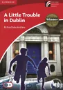 A Little Trouble in Dublin: Level A1: Beginner/Elementary: With Downloadable Audio - Richard MacAndrew
