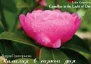 Камелия в сияньи дня / Camellias in the Light of Day (набор из 13 открыток) - Лидия Григорьева