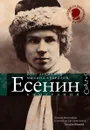 Есенин. Биография - Олег Лекманов, Михаил Свердлов