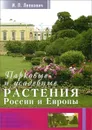 Парковые и усадебные растения России и Европы - И. П. Лепкович