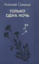 Только одна ночь - Сульянов Анатолий Константинович