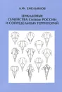 Цикадовые семейства Cixiidae России и сопредельных территорий - А. Ф. Емельянов