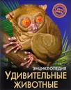 Энциклопедия. Удивительные животные - Ольга Тяжлова