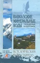 Кавказские минеральные воды - Шейко Наталья Ивановна, Маньшина Надежда Валерьевна