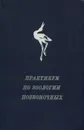 Практикум по зоологии позвоночных - Соколов Владимир Евгеньевич, Шилов Игорь Александрович, Карташев Николай Николаевич