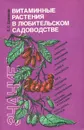 Витаминные растения в любительском садоводстве - Б. С. Ермаков