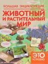 Животный и растительный мир - А. А. Спектор, Т. Л. Шереметьева