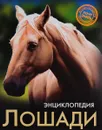 Энциклопедия. Лошади - Леся Калугина