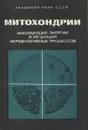 Митохондрии. Аккумуляция энергии и регуляция ферментативных процессов - Северин Сергей Евгеньевич