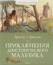 Приключения доисторического мальчика - Эрнест Д’Эрвильи