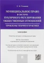 Муниципальное право в системе публичного регулирования общественных отношений. Проблемы теории и практики. Монография - Р. М. Усманова