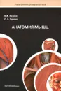 Анатомия мышц. Учебное пособие - В. И. Козлов, О. А. Гурова