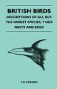 British Birds - Descriptions of All But the Rarest Species, Their Nests and Eggs - F. B. Kirkman