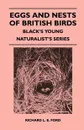 Eggs and Nests of British Birds - Black's Young Naturalist's Series - Richard L. E. Ford