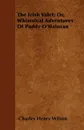 The Irish Valet; Or, Whimsical Adventures Of Paddy O'Haloran - Charles Henry Wilson