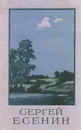 Сергей Есенин. Сочинения (комплект из 2 книг) - Сергей Есенин