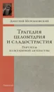 Трагедия целомудрия и сладострастия. Портреты из всемирной литературы - Дмитрий Мережковский