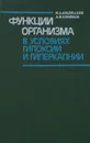 Функции организма в условиях гипоксии и гиперкапнии - Агаджанян Николай Александрович