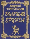 Большая ерунда - Торгашин Андрей Дмитриевич
