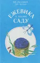 Ежевика в вашем саду - Иноземцев В., Зотова З.