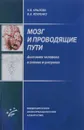 Мозг и проводящие пути. Анатомия человека в схемах и рисунках. Учебное пособие - Н. В. Крылова, И. А. Искренко