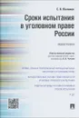 Сроки испытания в уголовном праве России - С. В. Маликов