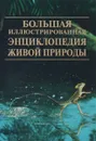 Большая иллюстрированная энциклопедия живой природы - Дэвид Берни