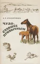 Чудо, ставшее привычным - В. П. Краснопевцев