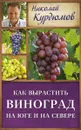 Как вырастить виноград на Юге и на Севере - Николай Курдюмов