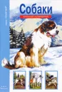 Собаки - Е. И. Александрова