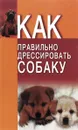Как правильно дрессировать собаку - Давыденко Виталий Игоревич