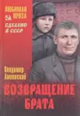 Возвращение брата - Владимир Амлинский