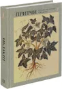 Притчи - Юрий Якутин,Н. Якутин,С. Барская,А. Князев,Н. Любова