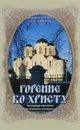 Горение ко Христу. Духовный преемник святого праведного Иоанна Кронштадского, новгородский протоиерей Александр (Ильин) - Протоиерей Александр (Ильин)