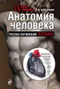 Анатомия человека. Русско-латинский атлас - Билич Г.Л., Зигалова Е.Ю.