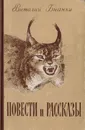 Виталий Бианки. Повести и рассказы - В. Бианки
