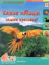 Какие птицы самые красивые? - В. В. Владимиров