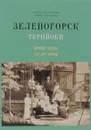 Зеленогорск / Терийоки. Дачная жизнь сто лет назад - Александр Браво, Елена Травина