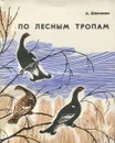 По лесным тропам - А. Шевченко