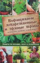 Выращиваем лекарственные и пряные травы на участке, балконе, подоконнике. Советы по посадке, сбору и применению - Наталья Костина-Кассанелли