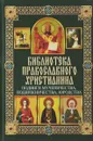 Подвиги мученичества, подвижничества, юродства - П. Е. Михалицын