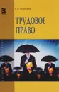 Трудовое право. Курс лекций. Учебное пособие - В. В. Воробьев