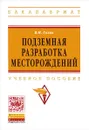 Подземная разработка месторождений. Учебное пособие - В. И. Голик