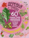 Деревья и травы. 60 видов трав, деревьев и кустарников, которые должен знать каждый - П. М. Волцит
