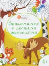 Знакомимся с лесными жителями. Развивающие раскраски для детей 4-5 лет - В. М. Медов