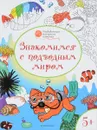 Знакомимся с подводным миром. Развивающие раскраски для детей 5-6 лет - В. М. Медов