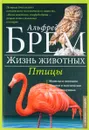 Жизнь животных. Том 6. Птицы. Л-Я - Альфред Брем